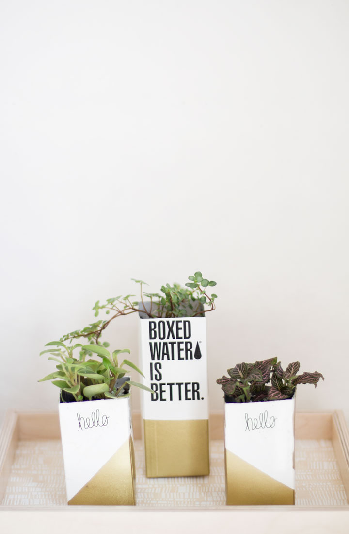 boxed-water-is-better-1